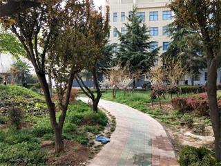 河南省洛阳经济学校
